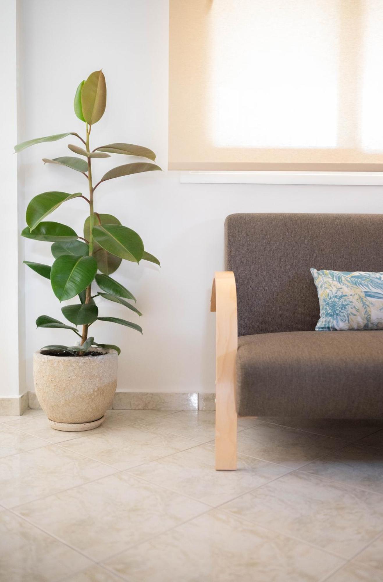 G&G Apartment Kiáton エクステリア 写真